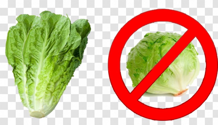 Romaine Lettuce Food Cruciferous Vegetables Flash Memory Cards Collard Greens - Tip Of The Iceberg Transparent PNG