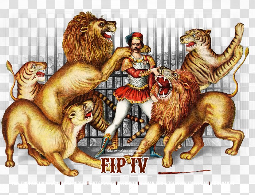 Lion Taming Tiger Jaguar Circus - Art Transparent PNG