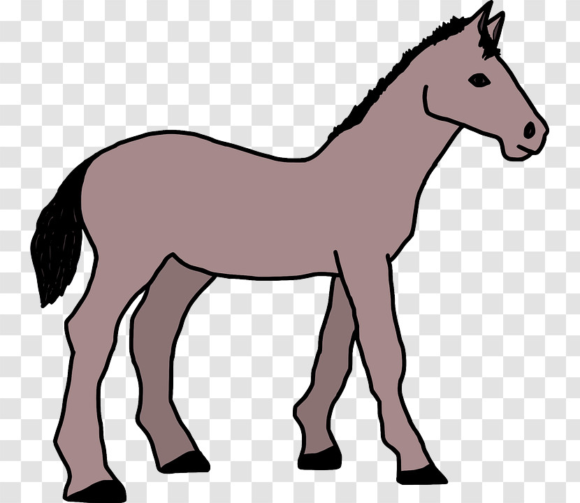 Horse Animal Figure Mane Foal Mare Transparent PNG