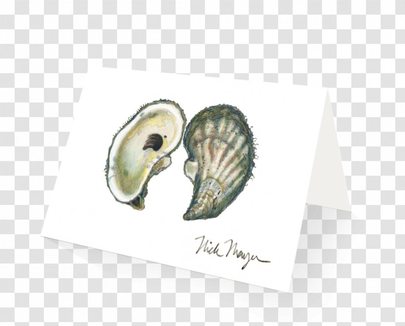 Eastern Oyster Seashell Pacific Scallop - Nautilida Transparent PNG