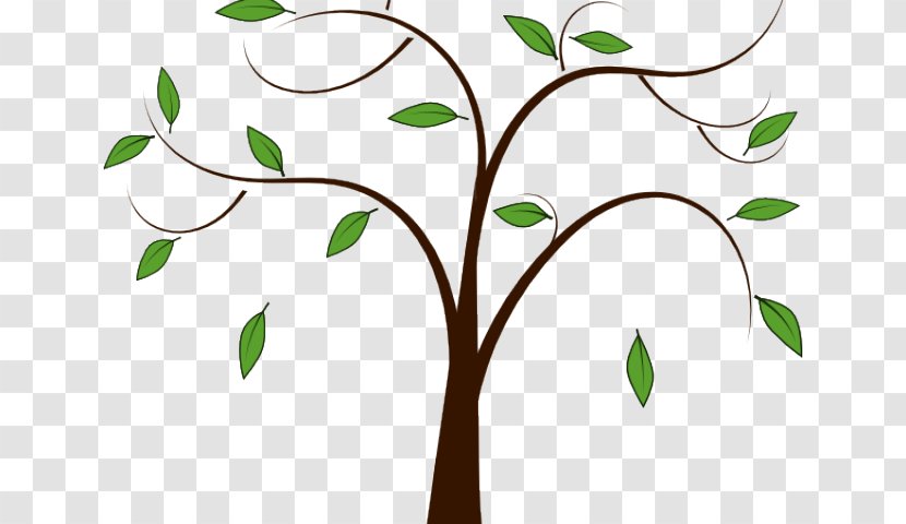 Leaf Green Plant Tree Branch - Flower - Stem Transparent PNG