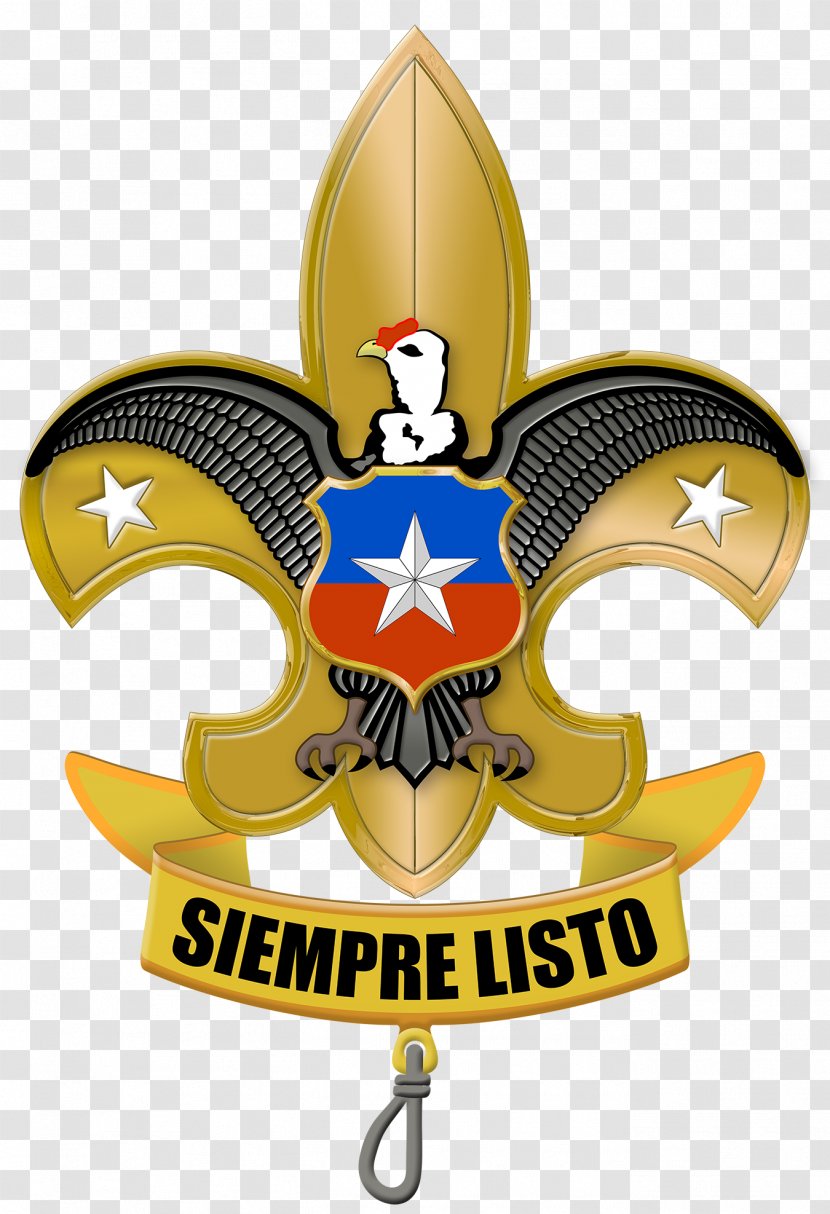 Agrupación Nacional De Boy Scouts Chile Scouting Asociación Guías Y Escultismo En Organization - Volunteering - Flor Lis Transparent PNG