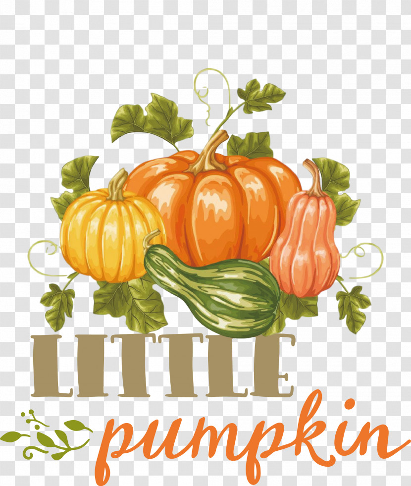 Little Pumpkin Thanksgiving Autumn Transparent PNG