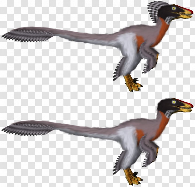 Raptor Red Velociraptor Tyrannosaurus Paleoart Dinosaur - Animal Figure Transparent PNG