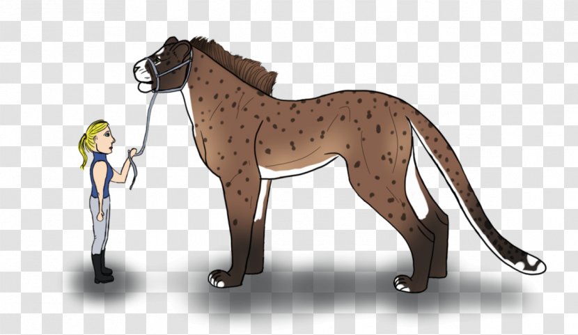 Stallion Foal Mustang Pony - Lion Transparent PNG