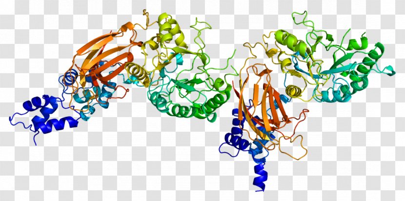 PLCD1 Phospholipase C Gene B Protein - Silhouette - Watercolor Transparent PNG