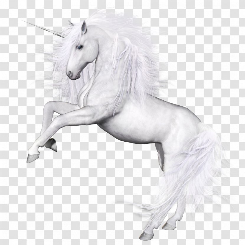 Horse Unicorn Mousepad Computer Mouse - Pegasus Transparent PNG