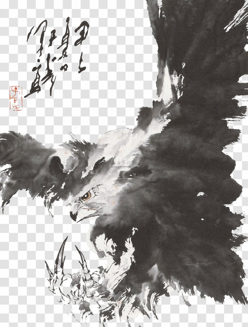 Ink Wash Painting - Material - Eagle Danqing Transparent PNG