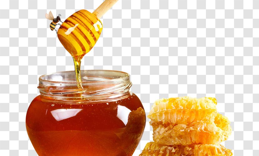 Honey Health Food Indian Cuisine Miele Della Lunigiana - Flavor Transparent PNG