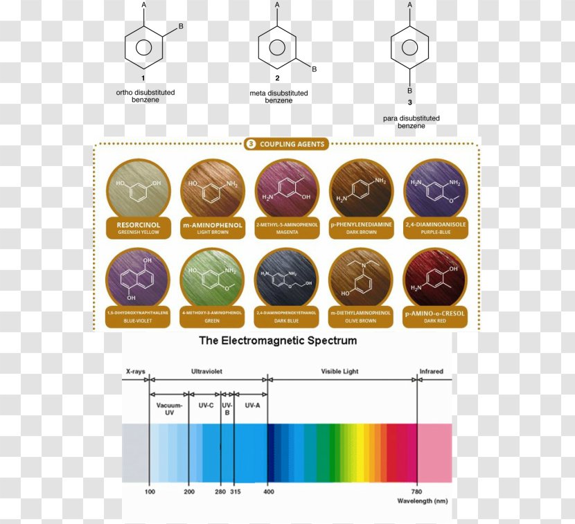 Bleach Hair Coloring Chemistry Dye - Diagram - Color Pigments Transparent PNG
