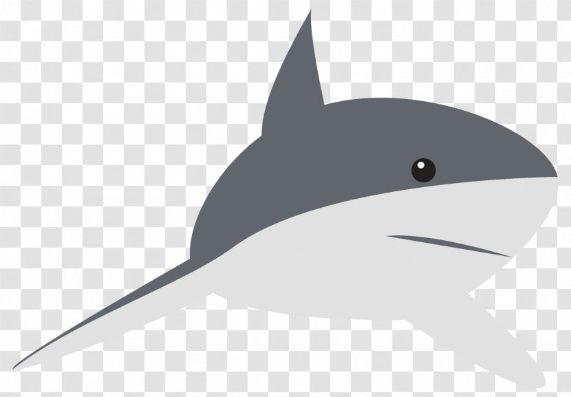 Shark Dolphin Tail - Fauna Transparent PNG