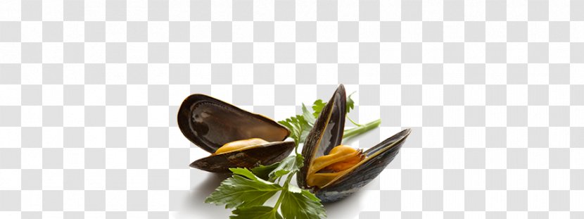 Mussel Seafood - Restaurant Transparent PNG