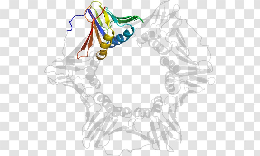 Vertebrate Line Art Clip - Cartoon - Design Transparent PNG