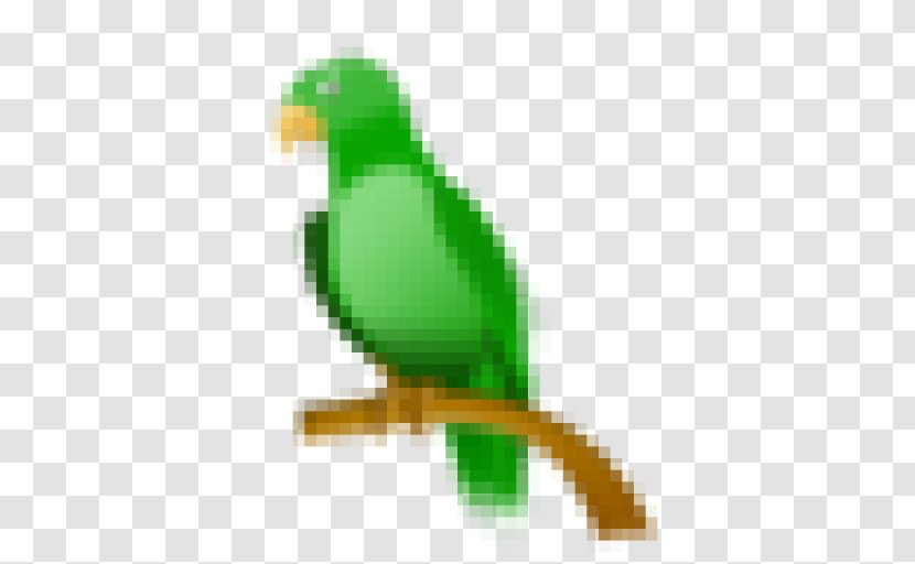 WebQuest Tropical Rainforest Biome TeachersPayTeachers - Parakeet - Green Parrot Transparent PNG