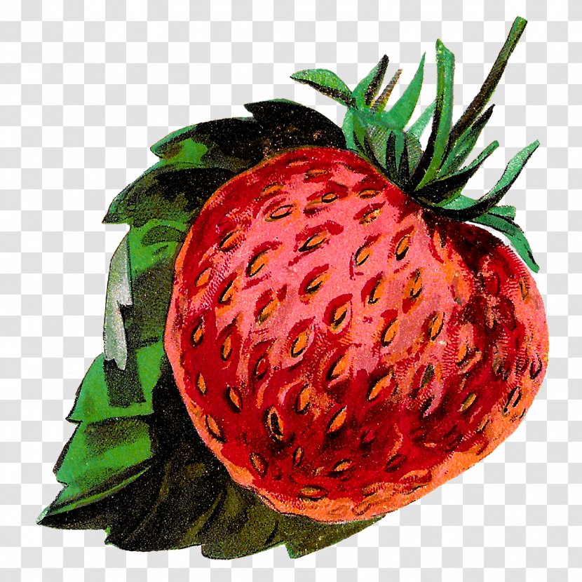 Strawberry Accessory Fruit Clip Art - Royaltyfree Transparent PNG