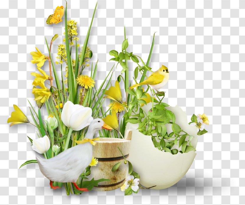 Easter .de Oochigeas - Plant Transparent PNG