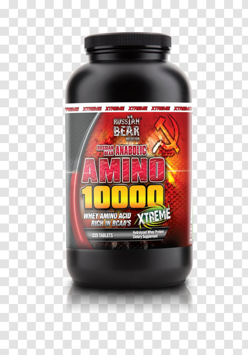 Branched-chain Amino Acid Russian Bear Bodybuilding Supplement Protein Transparent PNG