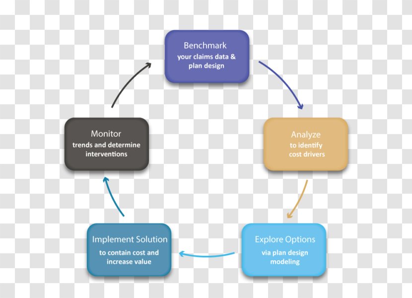 Brand Organization - Creative Business Chart Transparent PNG