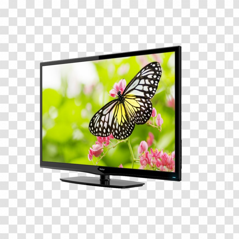 Television Set HDMI High-definition Component Video - Invertebrate - Pollinator Transparent PNG