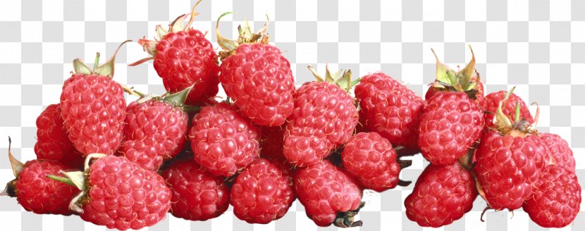 Raspberry Strawberry Cranberry Transparent PNG