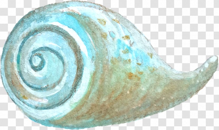 Given To The Sea Snail - Hand Painted Conch Transparent PNG