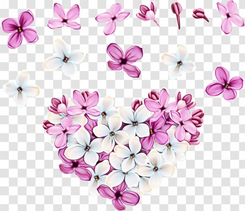 Cherry Blossom - Pink - Cut Flowers Transparent PNG