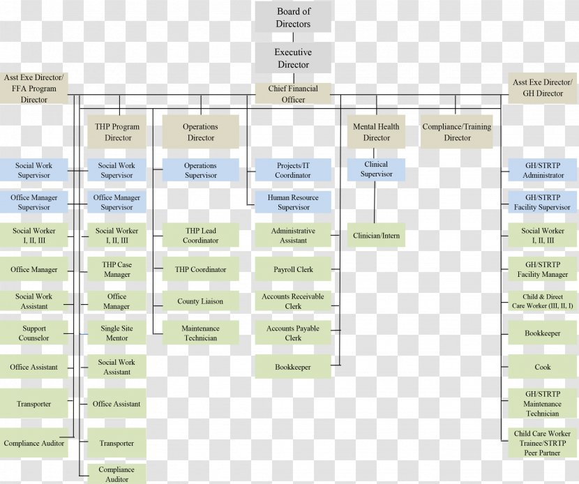 Organizational Chart Diagram Brand - Material - Organization Transparent PNG