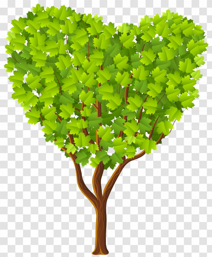 Heart Tree Clip Art - Plant Stem - Green Transparent Image Transparent PNG