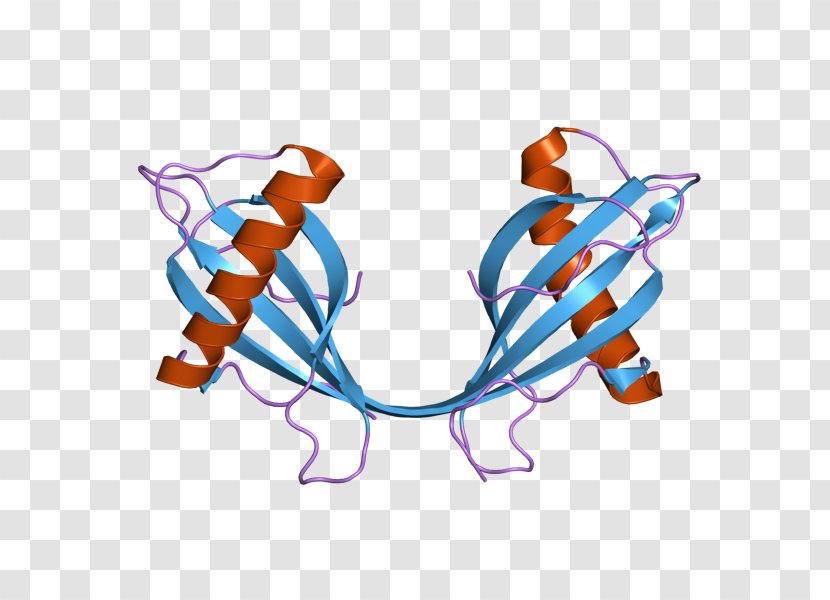 Cystatin B Protein Gene Dimer - Homo Sapiens - Hm Transparent PNG