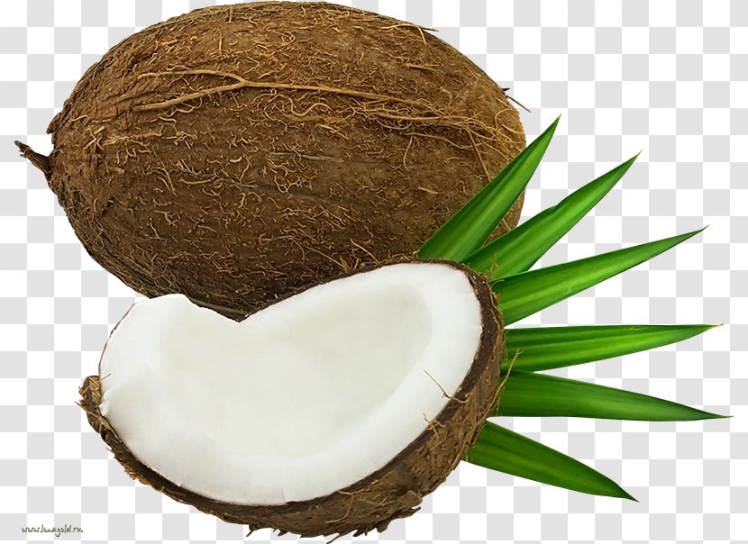 Coconut Water Clip Art - Superfood Transparent PNG