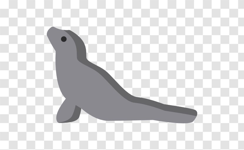 Sea Lion Earless Seal Walrus Mammal - Pinniped - Lions Transparent PNG