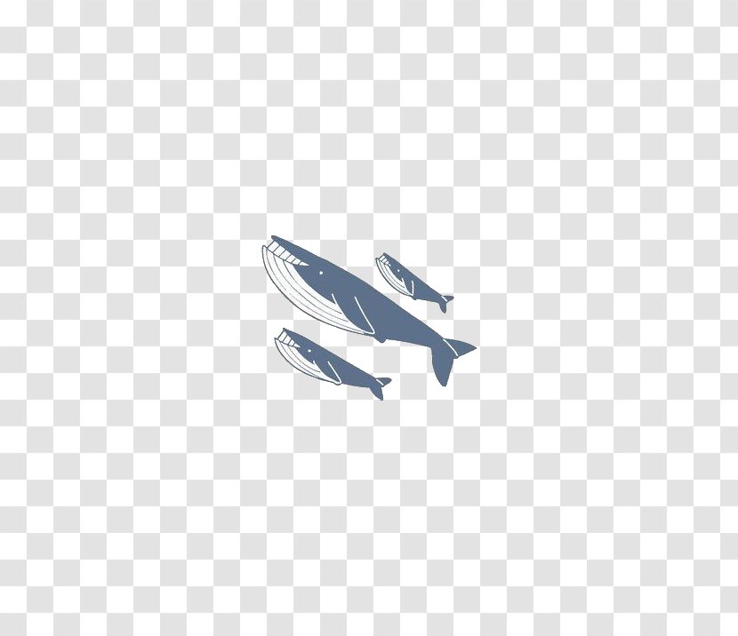Blue Wallpaper - Hand Drawn Shark Transparent PNG