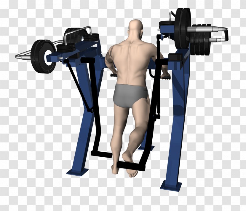 Exercise Machine Equipment Fitness Centre Arm - Cartoon - Barbell Transparent PNG