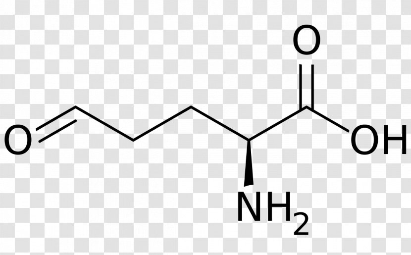Glutamic Acid Glutamate-5-semialdehyde Amino Beta-Methylamino-L-alanine - White - Logo Transparent PNG