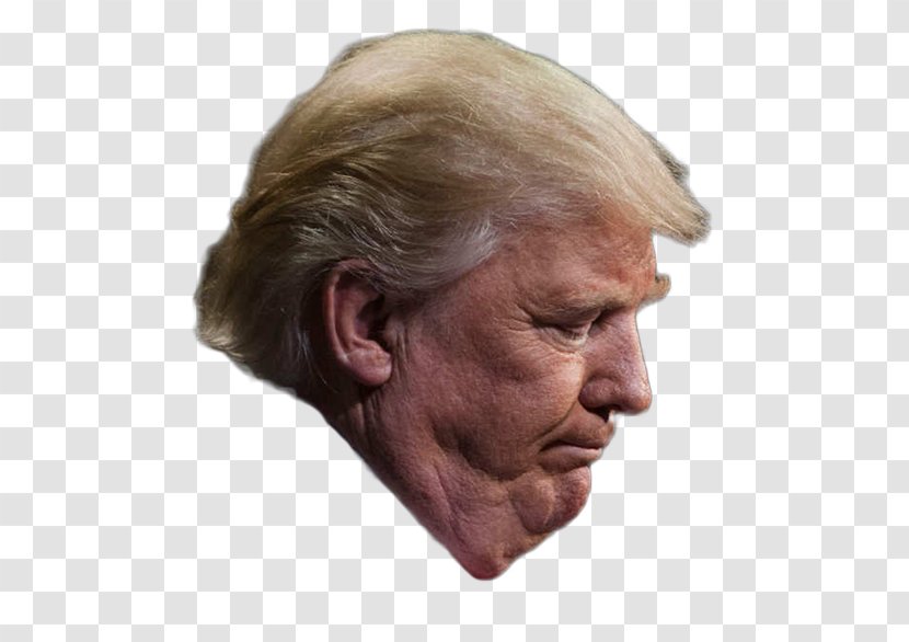 Donald Trump White House President Of The United States Election - Face Transparent PNG