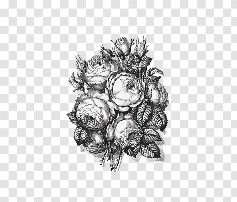 Black And White Beach Rose - Plant Transparent PNG