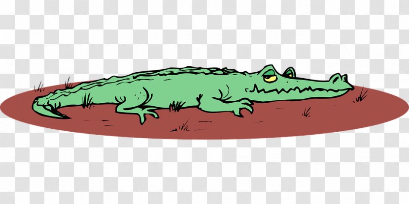 Crocodile Alligator Drawing Clip Art - Amphibian Transparent PNG