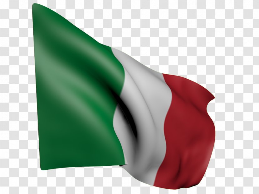 Flag Of Italy Italian Unification - Young Transparent PNG
