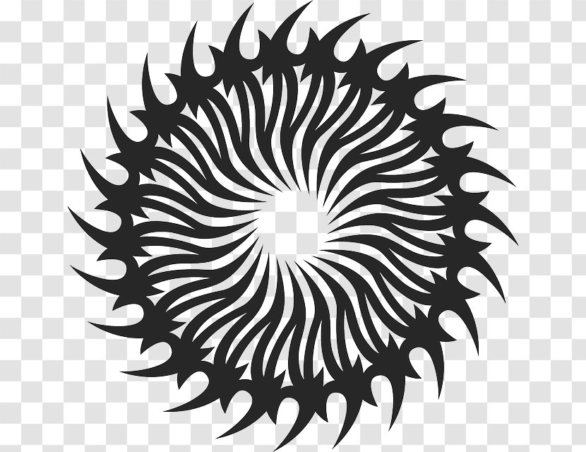 Spiral Drawing - Monochrome - SUN RAY Transparent PNG