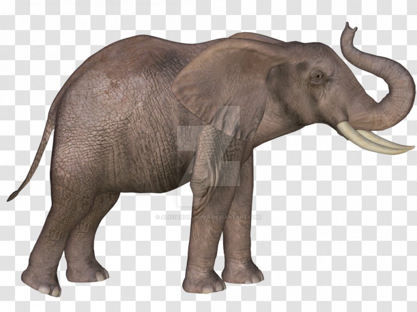 Indian Elephant African Mammoth Lakes Tusk Wildlife - 3D Transparent PNG