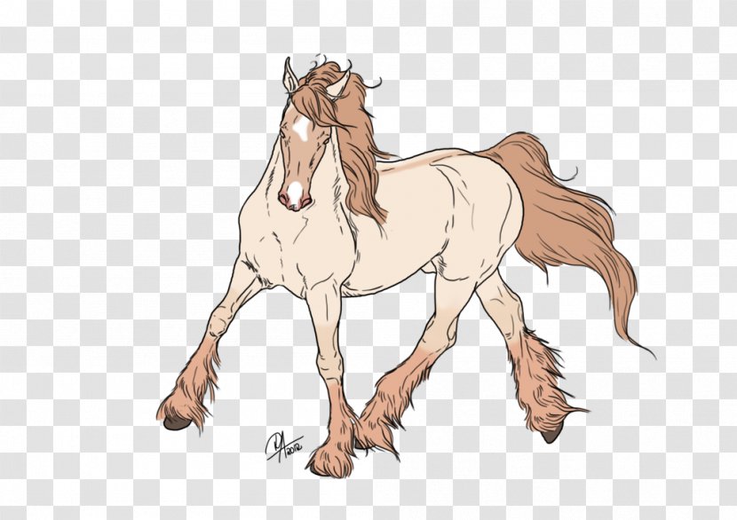 Foal Mane Pony Colt Stallion - Organism - Mustang Transparent PNG