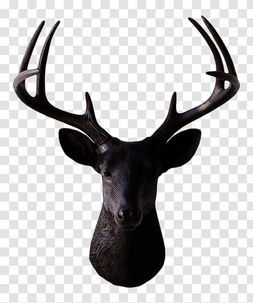 Reindeer Transparent PNG