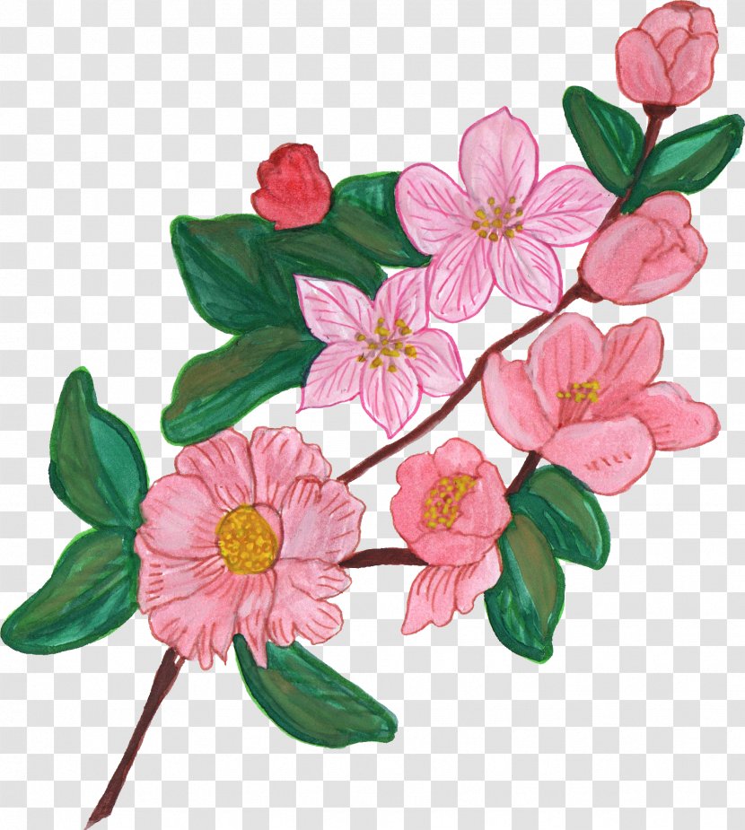 Flower Floral Design Microsoft Paint Ornament - Painting - Watercolor Flowers Transparent PNG
