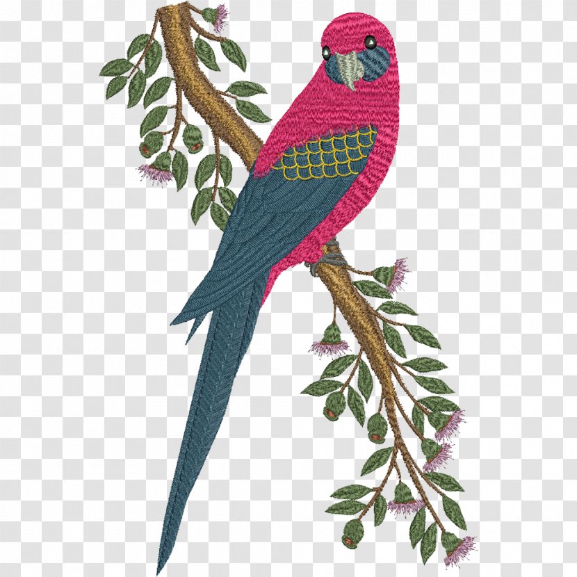 Machine Embroidery Design Parrot Macaw - Parakeet - Margarita Cartoon Transparent PNG