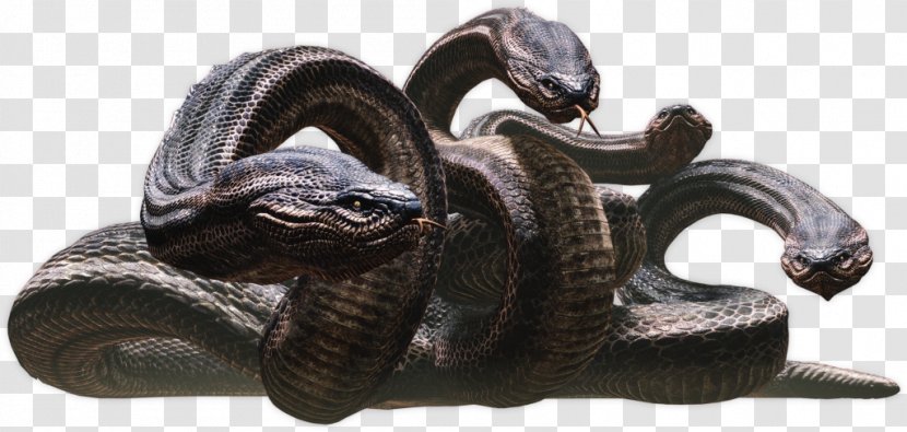 Dragon's Dogma: Dark Arisen Dungeons & Dragons Snakes - Lernaean Hydra - Mythology Transparent PNG
