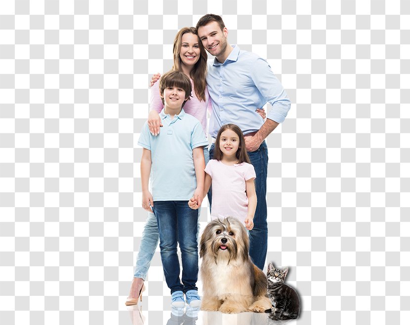 Family Stock Photography - Home Transparent PNG