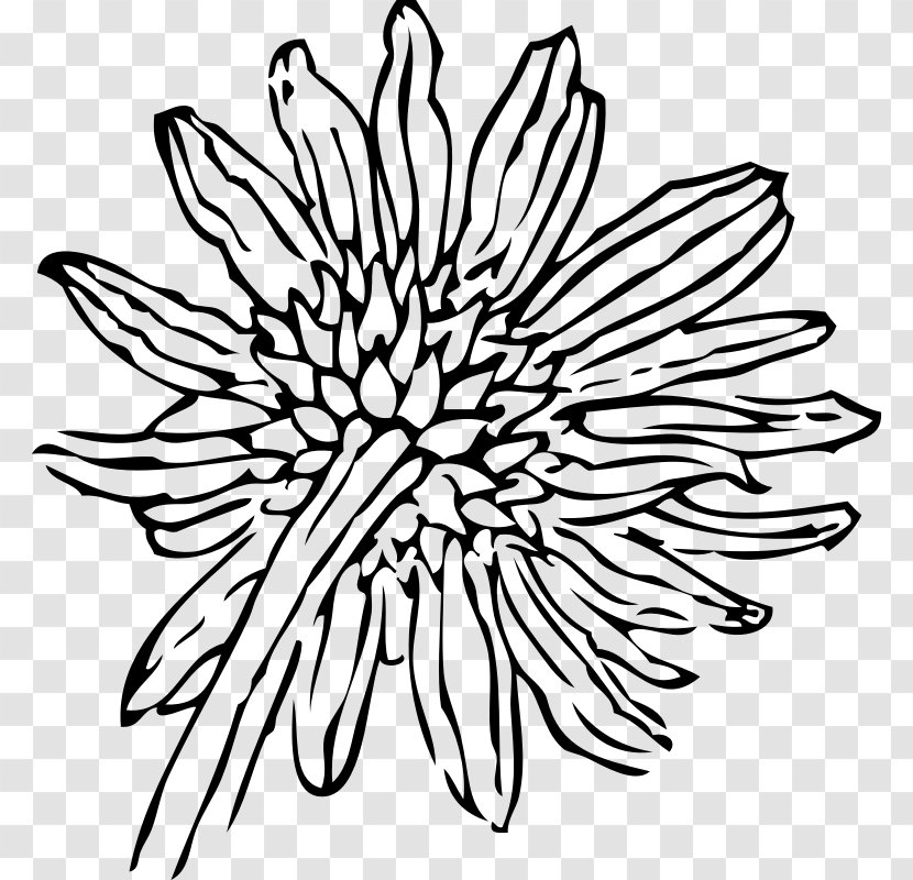 Drawing Common Sunflower Clip Art - Black And White - Line Transparent PNG