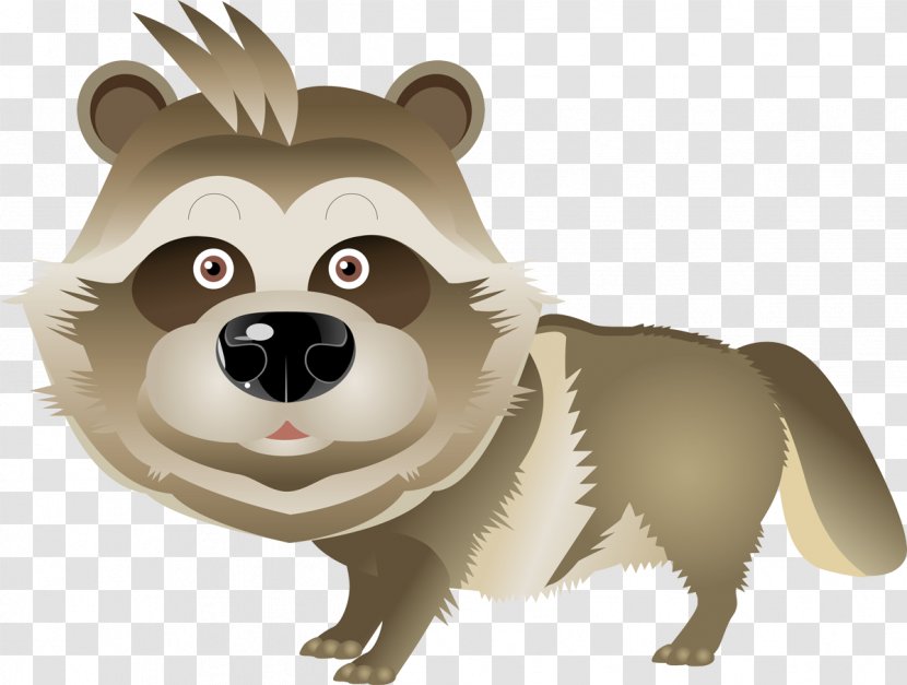 Canidae Download - Bear - енот Transparent PNG