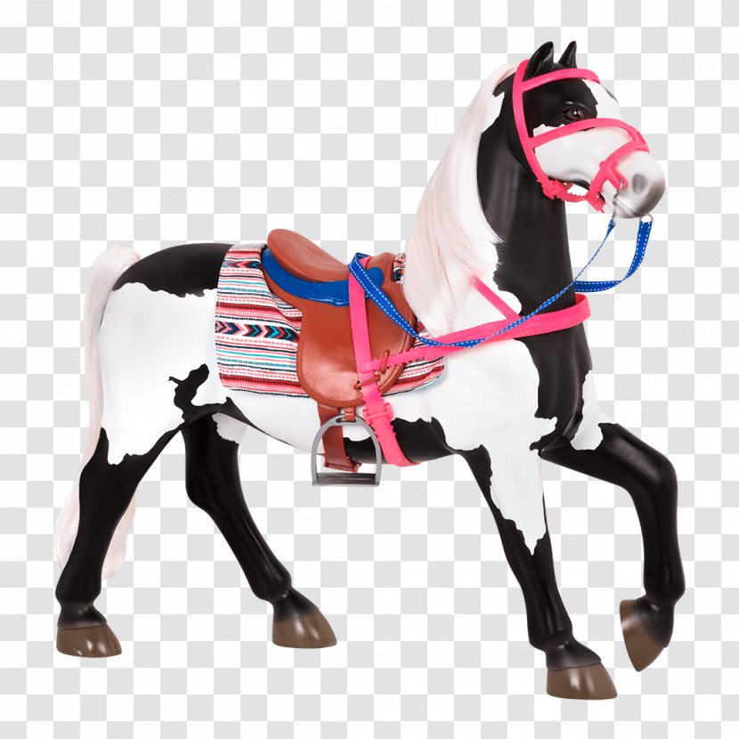 American Paint Horse Clydesdale Pony Foal Thoroughbred - Supplies - Rocking Transparent PNG
