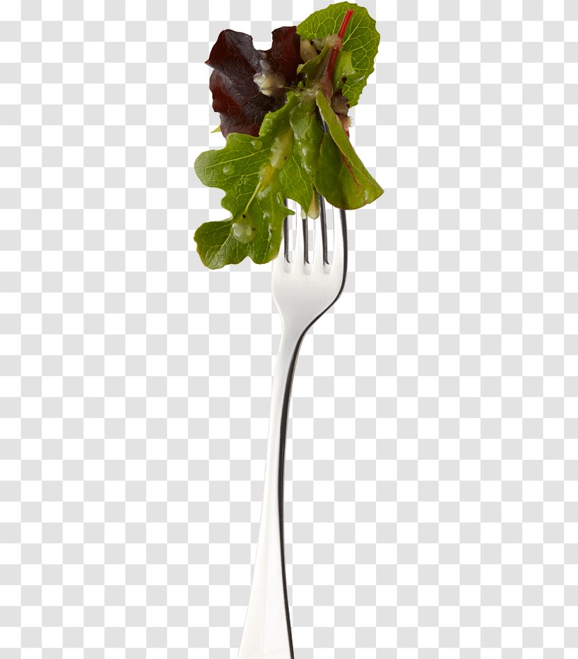 Vinaigrette Leaf Agave Nectar Salad Dressing - Plant Stem - Fresh Mint Leaves Transparent PNG